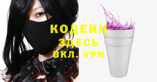 хмурый Вяземский