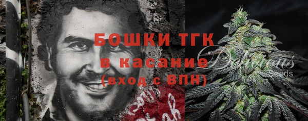хмурый Вяземский
