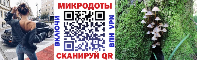 Купить Княгинино Псилоцибиновые грибы MAGIC MUSHROOMS